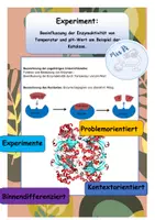 Vorschau - Arbeitsblätter - Experiment: Beeinflussung der Enzymaktivität am Beispiel der Katalase - Seite 1