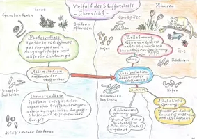 Vorschau - Arbeitsblätter - Stoffwechselphysiologie – Wachsendes Materialpaket - Seite 3