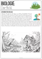 Vorschau - Unterrichtsreihen - Der Wald – Lebensraum, Nahrungsketten & Stockwerke - Seite 3