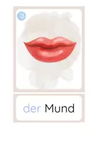 Vorschau - Fördermaterial/Inklusion - DaZ - das Gesicht - Bild- und Wortkarten - Seite 1