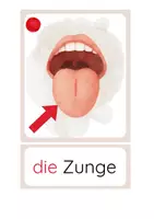 Vorschau - Fördermaterial/Inklusion - DaZ - das Gesicht - Bild- und Wortkarten - Seite 2