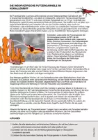 Vorschau - Arbeitsblätter - Putzergarnele Umweltfaktoren abiotisch biotisch Ökologie - Seite 1