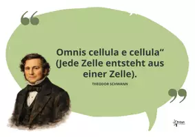 Vorschau - Bildkarten - Zellbiologie ⎜ Zitatekarten für deinen Biologieunterricht - Seite 2