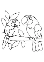 Vorschau - Arbeitsblätter - Prickelbilder / Fensterbilder Thema Wellensittiche - Grundschule - Bastelvorlagen - Seite 2