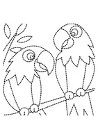 Vorschau - Arbeitsblätter - Prickelbilder / Fensterbilder Thema Wellensittiche - Grundschule - Bastelvorlagen - Seite 3