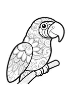 Vorschau - Arbeitsblätter - Mandalas Thema Wellensittiche - Grundschule - Bastelvorlagen - Seite 2