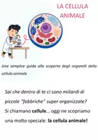 anteprima - Esercizi - La Cellula Animale: speigazione, disegni + verifiche - Pagina di copertina