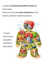 anteprima - Esercizi - La Cellula Animale: speigazione, disegni + verifiche - Pagina 2
