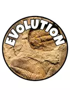 Vorschau - Mal- und Bastelvorlagen - Evolution Unterricht Biologie – Legespiel Legekreis Evolution Darwin Sekundarstufe Einstieg - Seite 3
