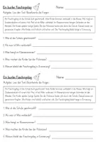 Vorschau - Arbeitsblätter - Fasching - Textverständnis (Klasse 1) - Seite 3