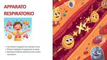 anteprima - Compiti in classe/Test - Apparato Respiratorio_ cl Quarta-Quinta - scienze Il Corpo Umano - Pagina 1