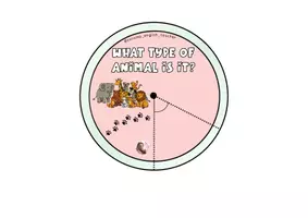Vista previa - Manualidades / Dibujos para colorear - VERTEBRATE ANIMALS WHEEL - página 2
