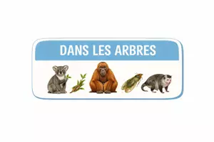 Aperçu - Apprentissages en autonomie - Podcat 26 bestioles - Ensemble d'affichages - Page 3