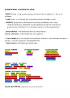 Vista previa - Hojas de trabajo - TEORIA DEL COLOR (peluqueria i cosmetica capilar) - Portada