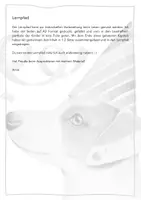Vorschau - Arbeitsblätter - Lernpfad für "Wolf" von Šaša Stanišić - Seite 3