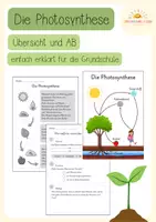 Vorschau - Arbeitsblätter - Materialpaket Natur & Umwelt: Photosynthese, Pflanzenwachstum & Artenschutz für die Grundschule - BNE - Seite 1