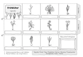 Vorschau - Arbeitsblätter - Frühblüher Lesespaziergang, Leporello usw. | Materialpaket Klasse 1 - 4 - Seite 3
