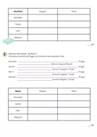 Vorschau - Test - Nomen deklinieren - Klassenarbeit / Test - Seite 2