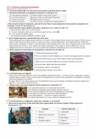 Попередній перегляд - Тест "Характерні риси та будова тварин" НУШ - Сторінка 3