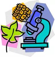 Попередній перегляд - Підсумкова семестрова робота І семестр 8 кл НУШ - Обкладинка