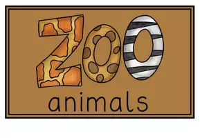Vorschau - Bildkarten - Wild Animals - Flashcards - Bild- und Wortkarten - Seite 3
