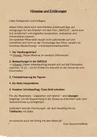 Vorschau - Arbeitsblätter - Materialpaket: Analysematerial für Spielfilme im Geschichtsunterricht - Seite 2