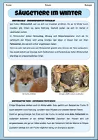 Vorschau - Arbeitsblätter - Überwinterungsstrategien - Tiere im Winter | Unterrichtsreihe "Tiere in unserem Umfeld", Biologie 5.-6. Klasse - Seite 2