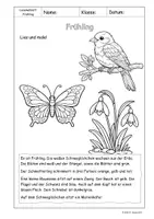 Vorschau - Arbeitsblätter - Lesemalblätter - Frühling - Klasse 1-2 - Seite 2