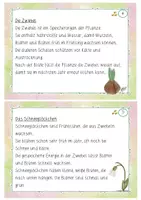 Vorschau - Fördermaterial/Inklusion - Abschreibkartei Frühling Klasse 2 - Seite 3
