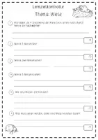 Vorschau - Test - Wiese: Lernzielkontrolle (Test mit Lösungen) - Sachunterricht - Kl. 3/4 - Seite 1