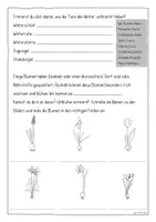 Vorschau - Arbeitsblätter - Frühling – Arbeitsblätter mit Lösungen & Lernkontrolle | Sachunterricht Klasse 1/2 - Seite 2