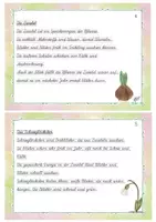 Vorschau - Fördermaterial/Inklusion - Abschreibkartei Frühling Klasse 2_Schreibschrift - Seite 2