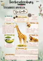 Vorschau - Unterrichtsreihen - Tierbeschreibungen: Giraffe, Steckbrief vervollständigen (5. / 6. / 7. Klasse | Deutsch | Sachunterricht | Naturwissenschaften | Kreativaufgaben) - Seite 3