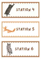 Vorschau - Stationenlernen - Stationskarten Waldtiere - Seite 1