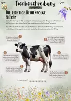 Vorschau - Unterrichtsreihen - Tierbeschreibungen: Die richtige Reihenfolge finden (5. / 6. / 7. Klasse | Deutsch | Sachunterricht | Naturwissenschaften | Kreativaufgaben) - Seite 1