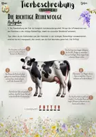 Vorschau - Unterrichtsreihen - Tierbeschreibungen: Die richtige Reihenfolge finden (5. / 6. / 7. Klasse | Deutsch | Sachunterricht | Naturwissenschaften | Kreativaufgaben) - Seite 3