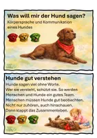Vorschau - Präsentationen/Tafelbilder - Körpersprache eines Hundes- Kartei inclusive Ampelsystem für die Kinder - Seite 2