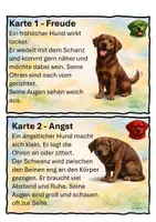 Vorschau - Präsentationen/Tafelbilder - Körpersprache eines Hundes- Kartei inclusive Ampelsystem für die Kinder - Seite 3