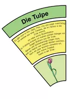 Vorschau - Fördermaterial/Inklusion - Frühblüher Legekreise Klasse 1-4 - Seite 1