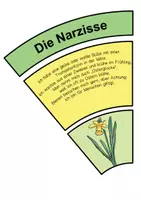 Vorschau - Fördermaterial/Inklusion - Frühblüher Legekreise Klasse 1-4 - Seite 2