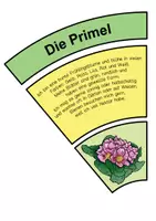 Vorschau - Fördermaterial/Inklusion - Frühblüher Legekreise Klasse 1-4 - Seite 3