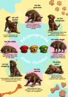 Vorschau - Poster - Poster Körpersprache eines Hundes - Seite 1