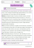 Vorschau - Arbeitsblätter - Krankheitserreger - Viren, Pilze, Bakterien Immunsystem - Seite 1