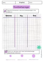 Vorschau - Arbeitsblätter - Krankheitserreger - Viren, Pilze, Bakterien Immunsystem - Seite 2