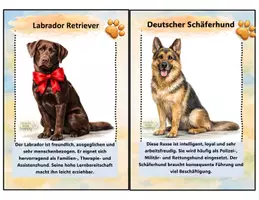 Vorschau - Poster - Kartei 34 Hunderassen - Seite 3