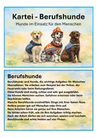 Vorschau - Poster - Kartei Berufshunde mit Beschreibungen und aussagekräftigen Abbildungen - Seite 2