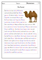 Vorschau - Arbeitsblätter - Lesen Wüstentiere - Leseverstehen - Seite 2