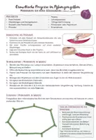 Vorschau - Unterrichtsreihen - Osmose - Materialpaket - Seite 2