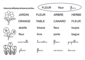 Aperçu - Apprentissages en autonomie - Lecture / Ecriture printemps (maternelle, CP, inclusion) - Page 1
