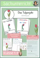 Vorschau - Arbeitsblätter - Lebenszyklus Tulpe Minibuch - Frühblüher im Sachunterricht - Deckblatt